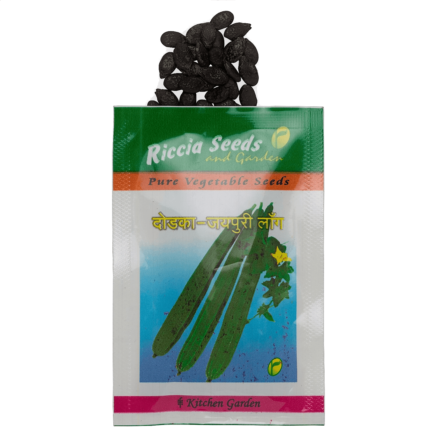 Ridge Gourd (Dodka/Luffa) – Jaipuri Long