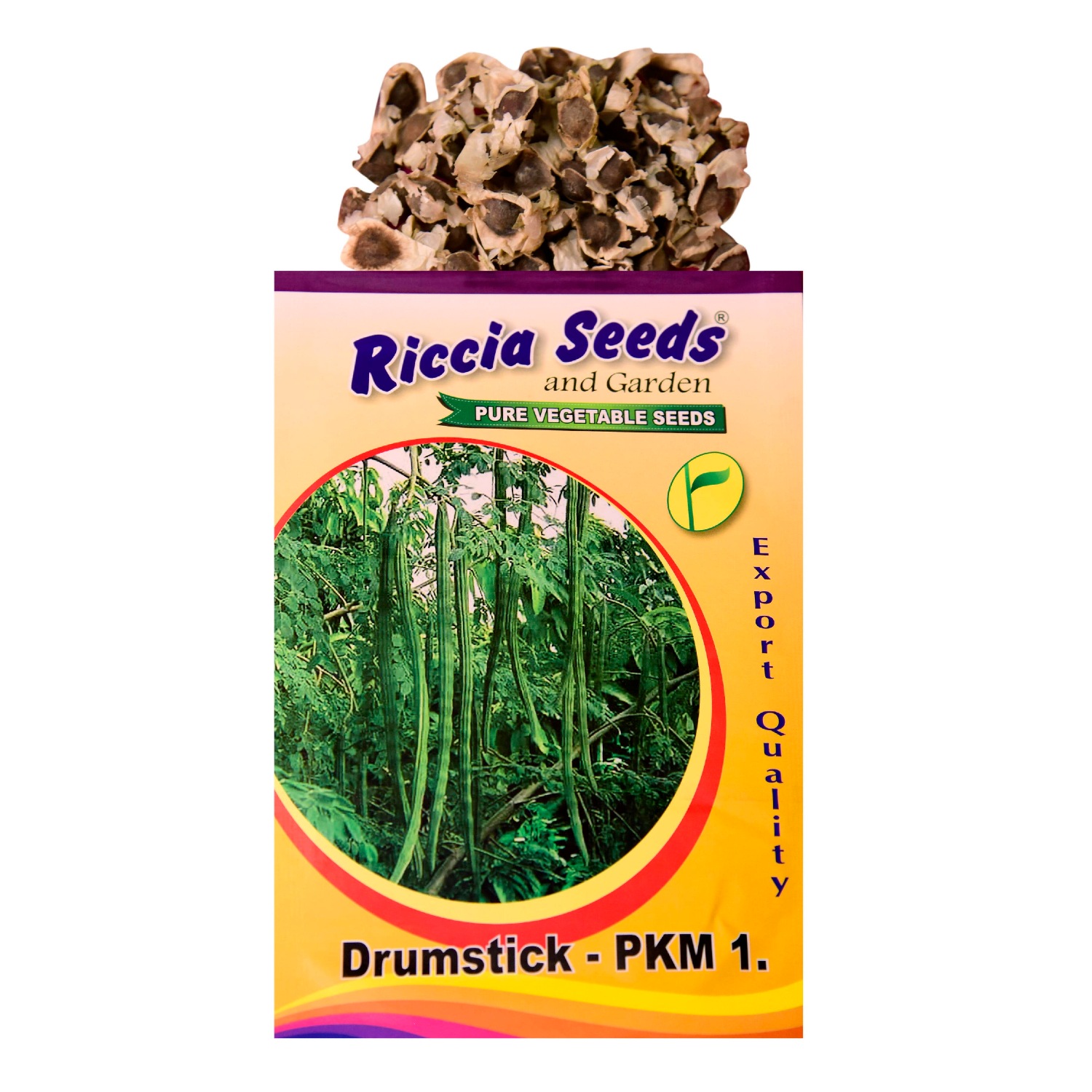 Drumstick PKM-1 Seeds