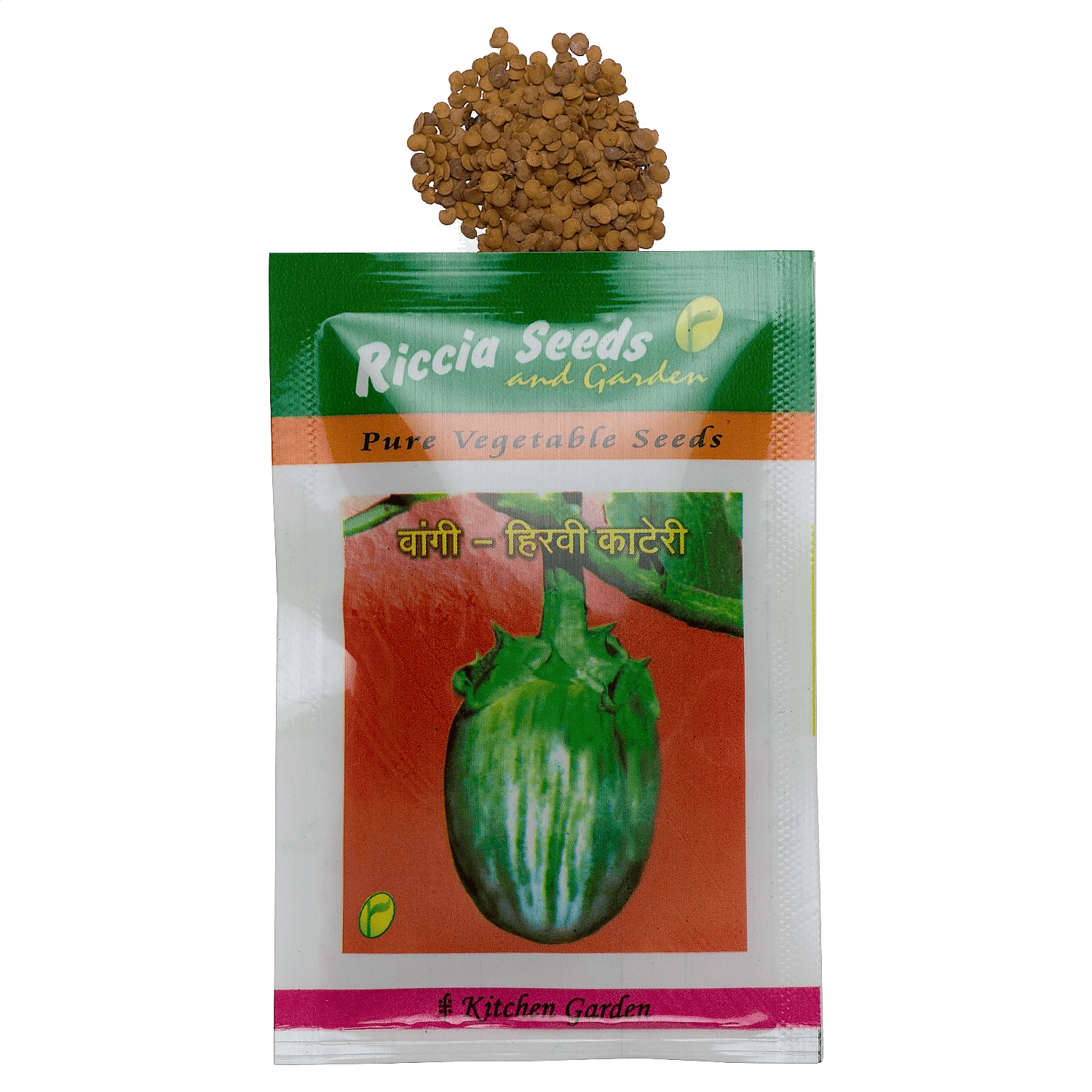 Green Brinjal (Eggplant/Vangi) – Hirvi Kateri Seeds