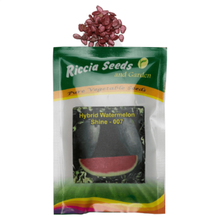 Hybrid Watermelon – Shine 007 Seeds