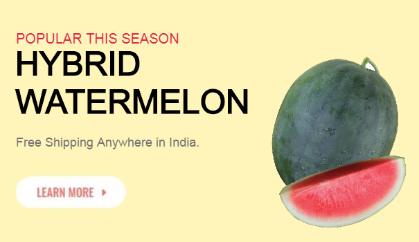 WatermelonBanner